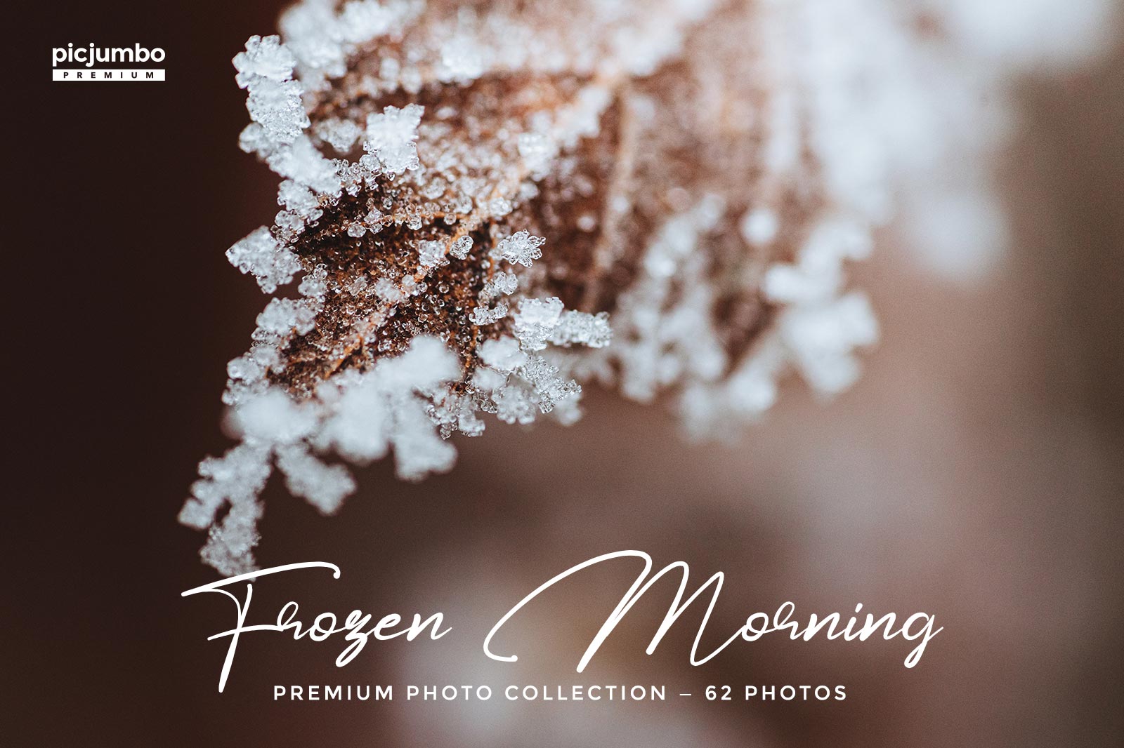 Download hi-res stock photos from our Frozen Morning PREMIUM Collection!