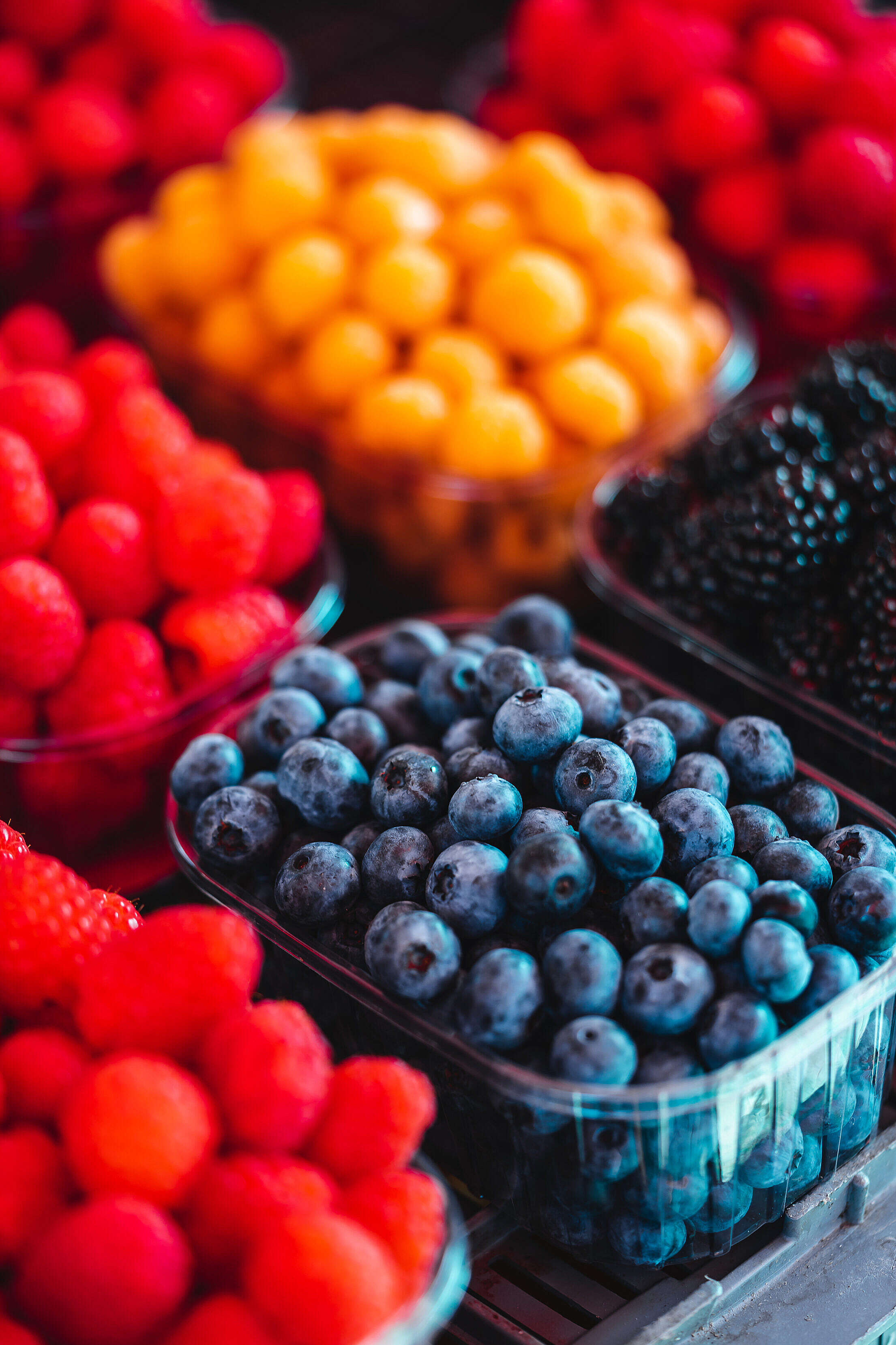 Fruits Vertical Free Stock Photo