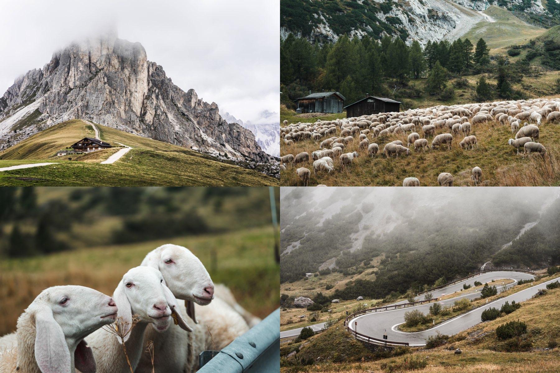 giau pass cinque tori mountains and roads stock photos collection preview