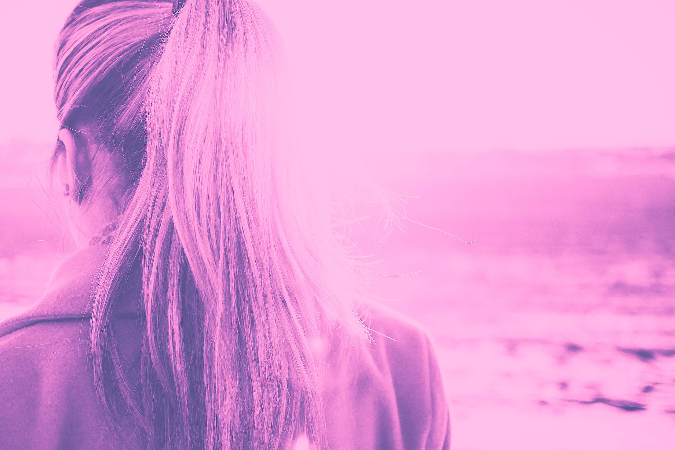 Girl Turned Back in Violet Duotone Free Stock Photo