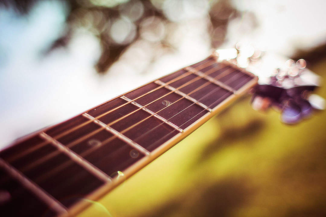 Guitar Strings Detail