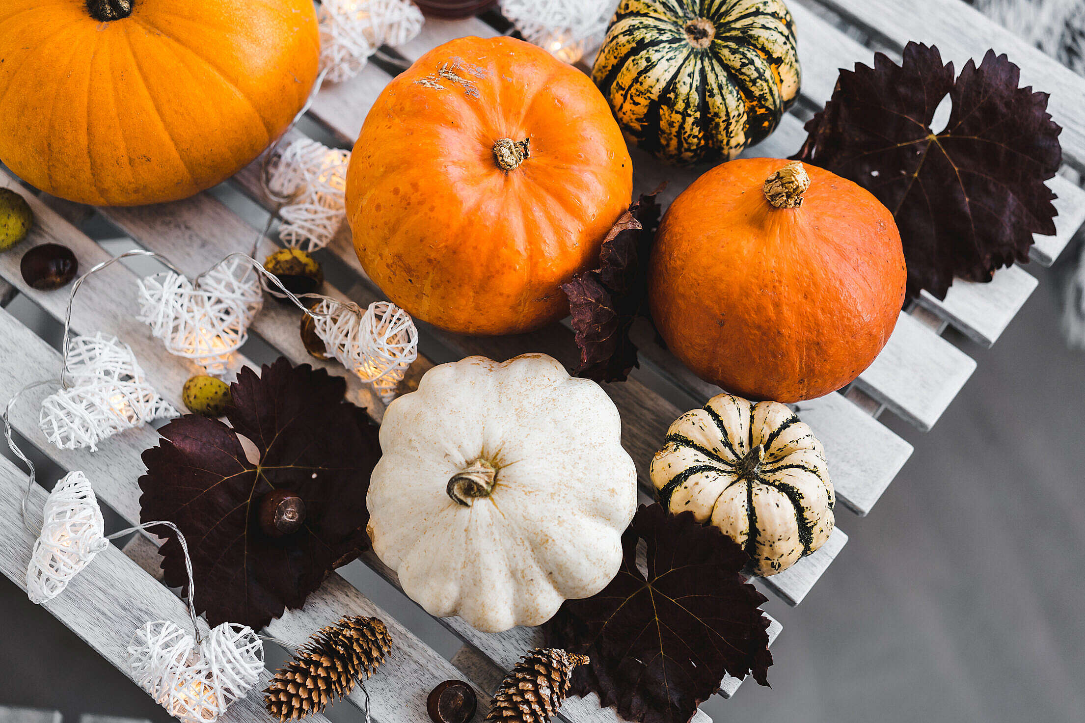 Halloween Pumpkin Free Stock Photo | picjumbo