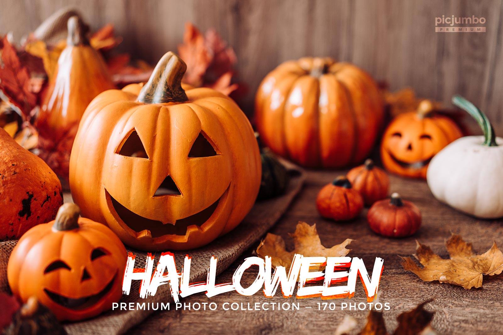 Download hi-res stock photos from our Halloween PREMIUM Collection!