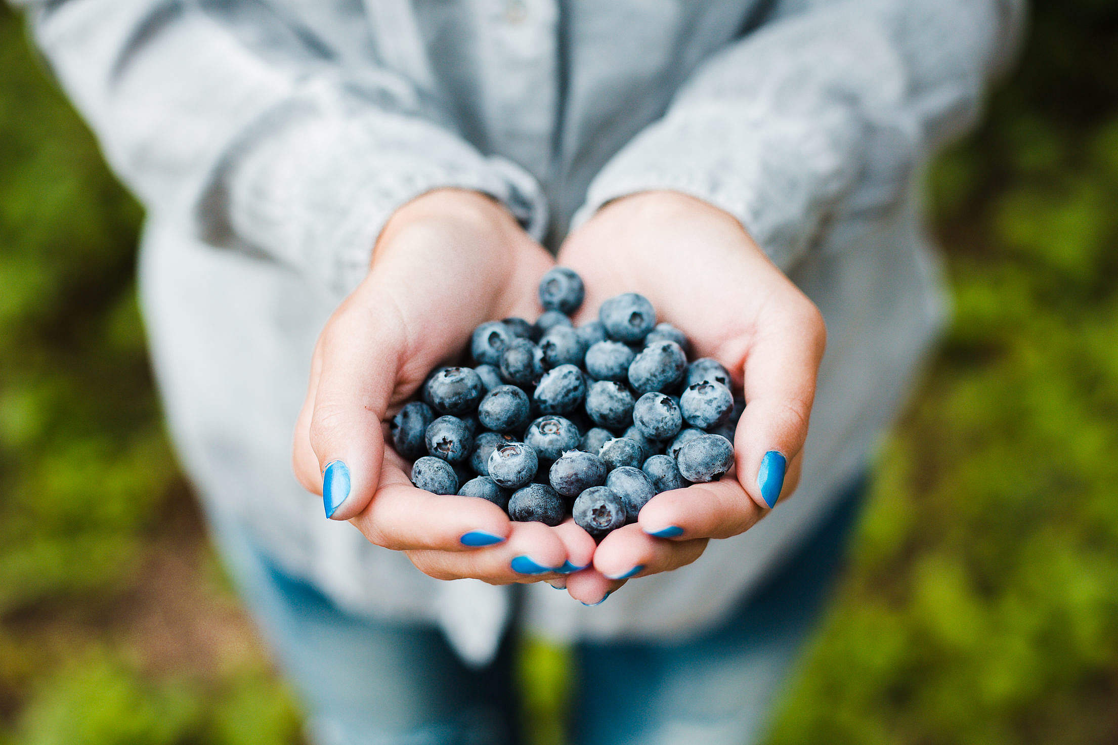 Handful of Blueberries Free Stock Photo