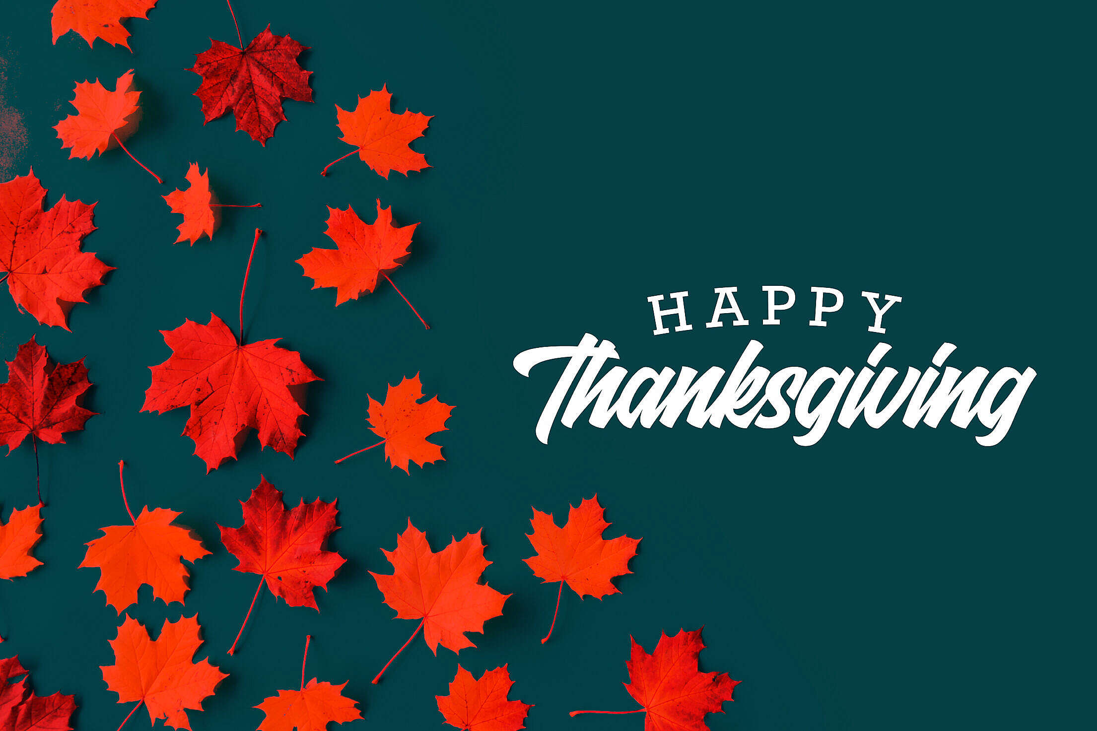 Happy Thanksgiving Lettering with Fall Leaves Free Stock Photo