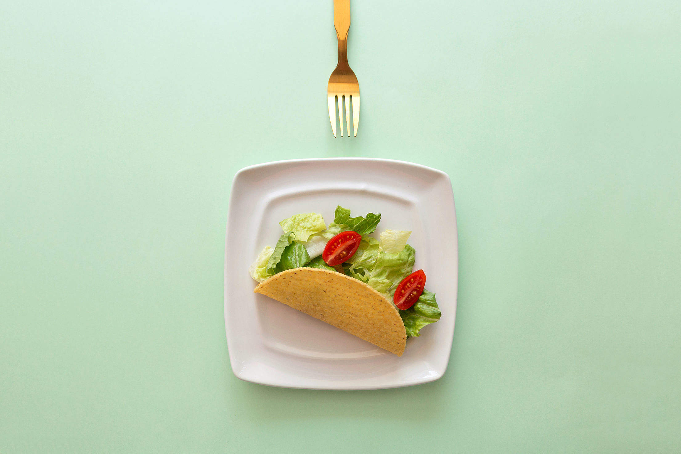 Healthy Taco with Fork Free Stock Photo