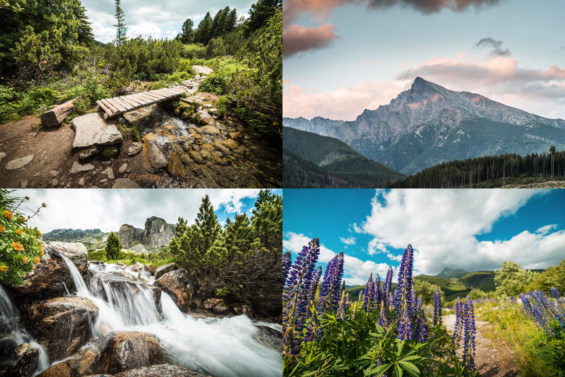 hiking picjumbo collection preview 1