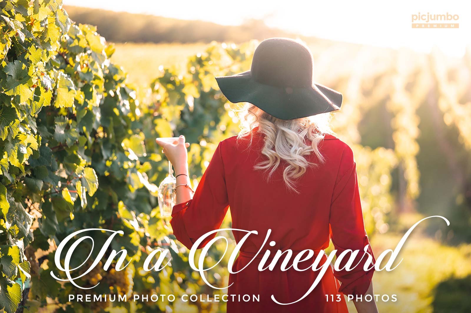 Download hi-res stock photos from our In a Vineyard PREMIUM Collection!