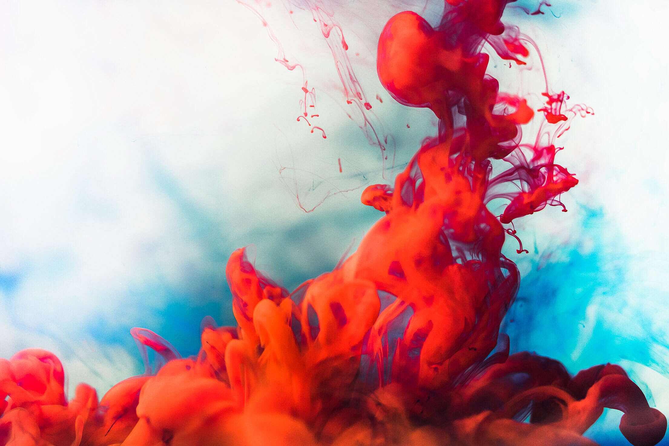 Ink in Water Abstract Free Stock Photo