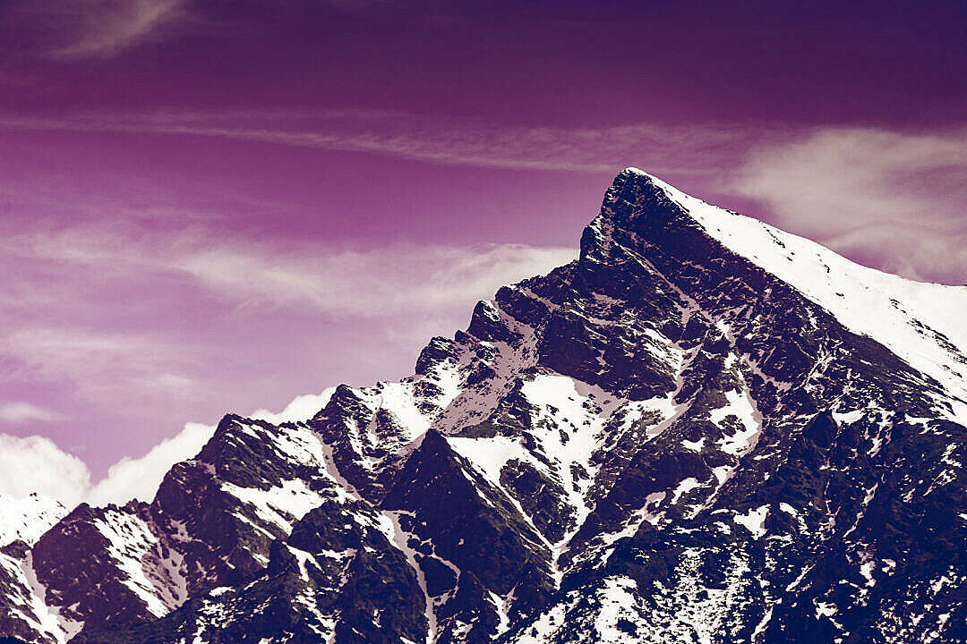 Download Krivan Mountain Violet FREE Stock Photo