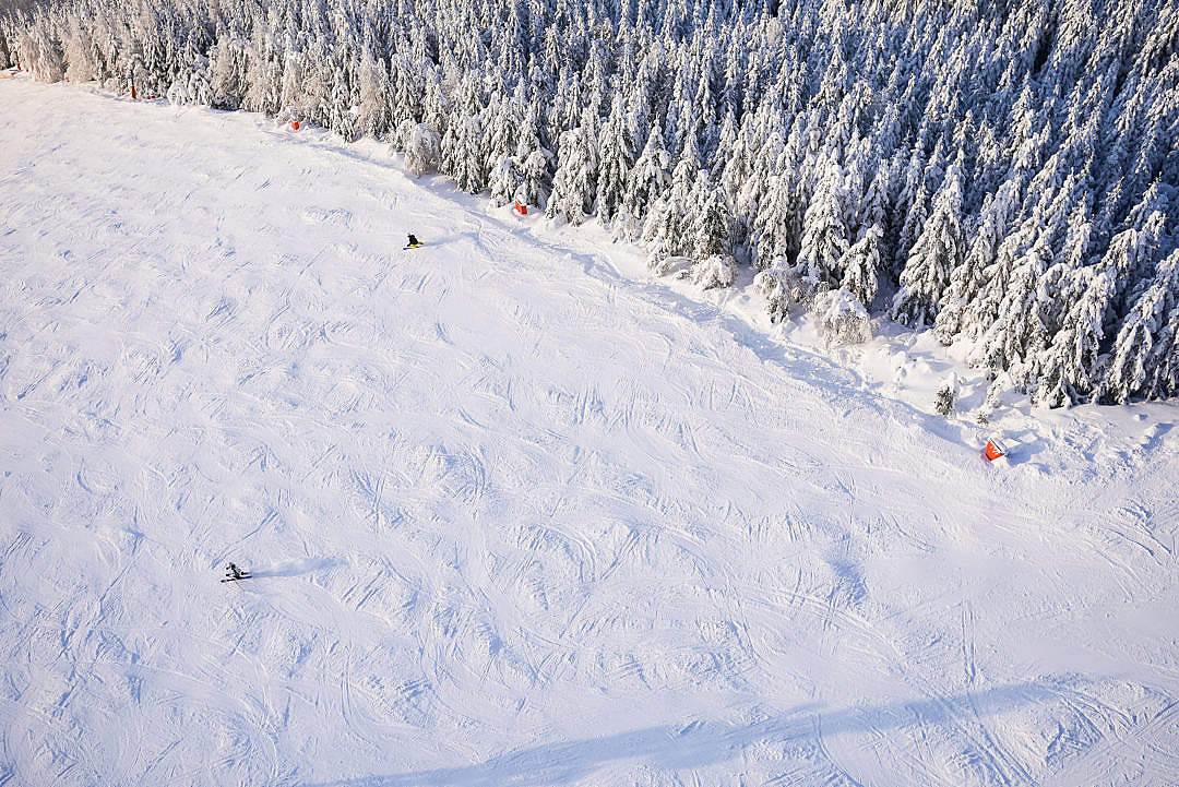 Download Large Ski Slope with Skiers From Above FREE Stock Photo