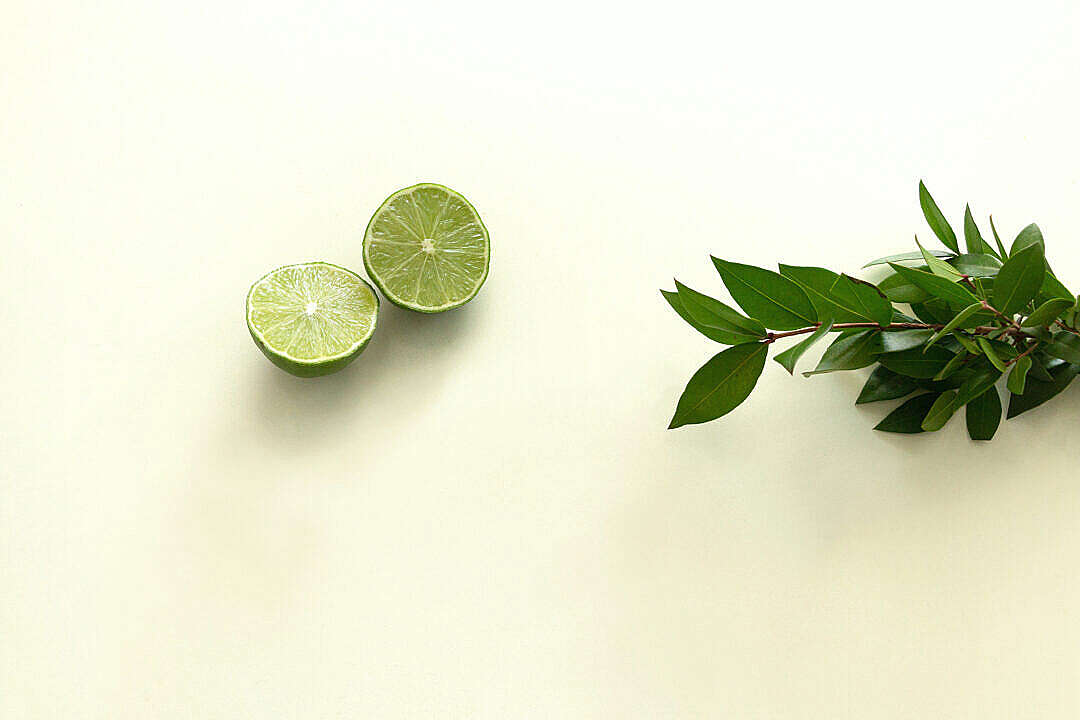 Download Lime and Green Leaves FREE Stock Photo