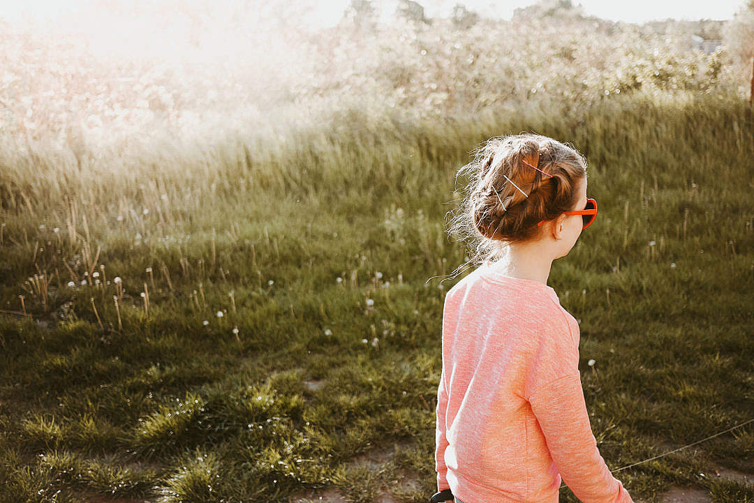 Little Girl Walking in The Meadow