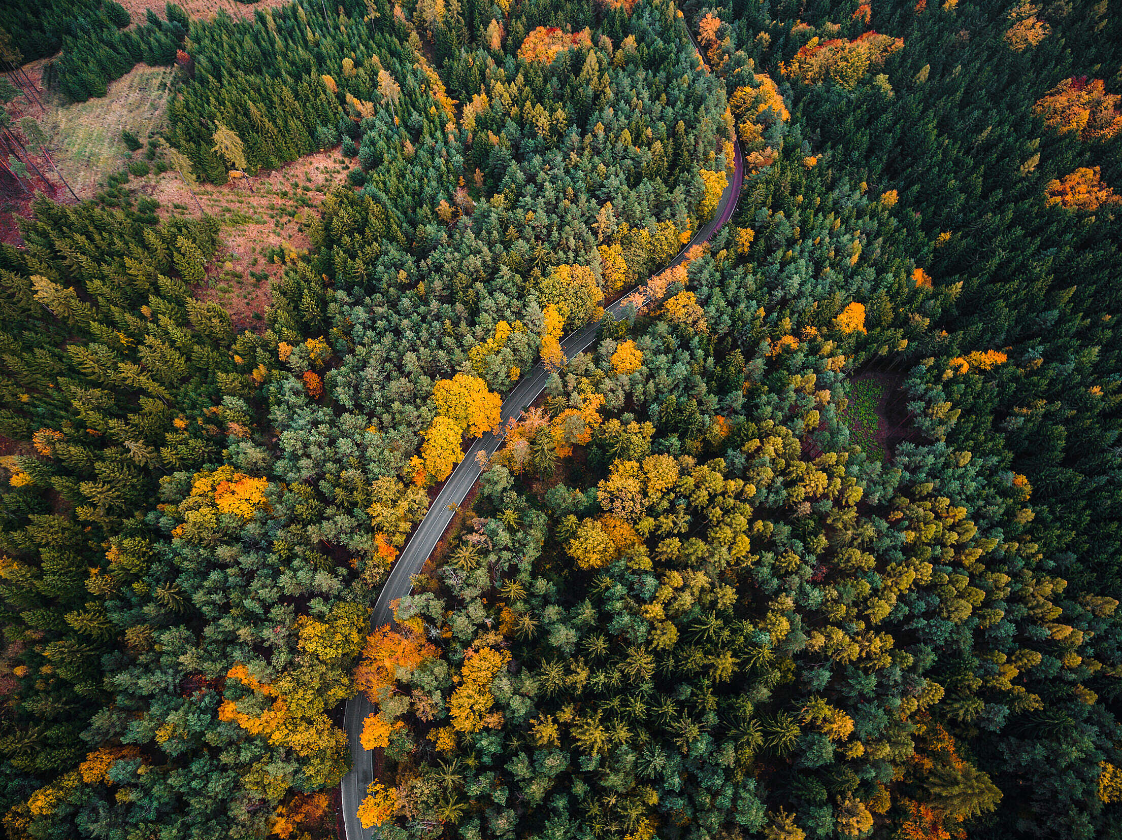 Lonely Road in Forest Aerial View Free Stock Photo