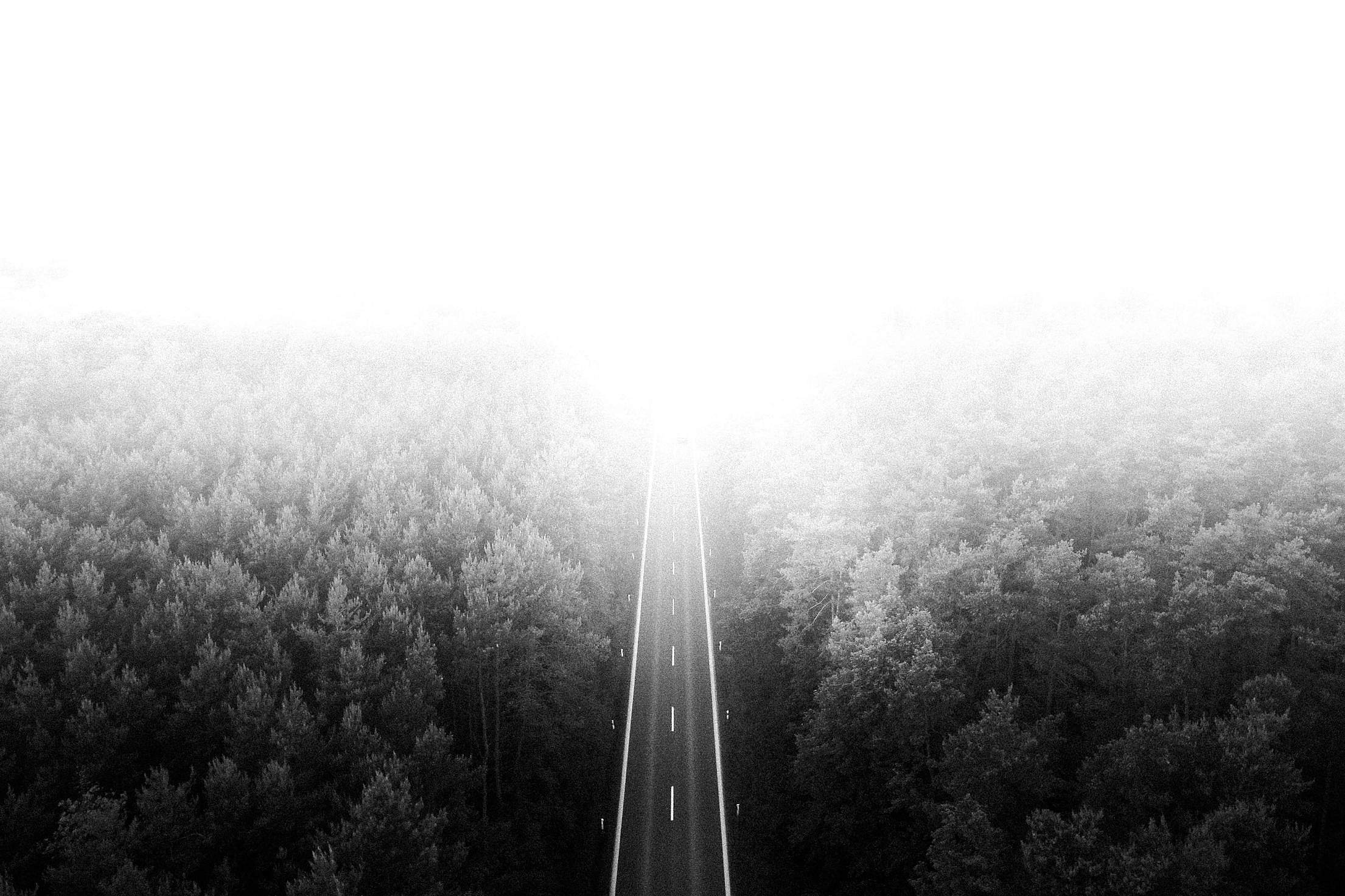 Long Lonely Road Through The Woods Free Stock Photo