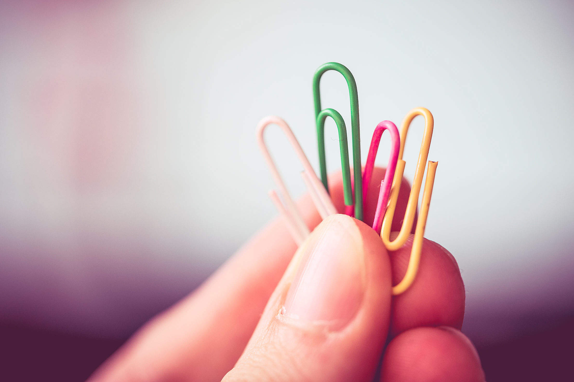 Man Holding Colorful Paper Clips Free Stock Photo