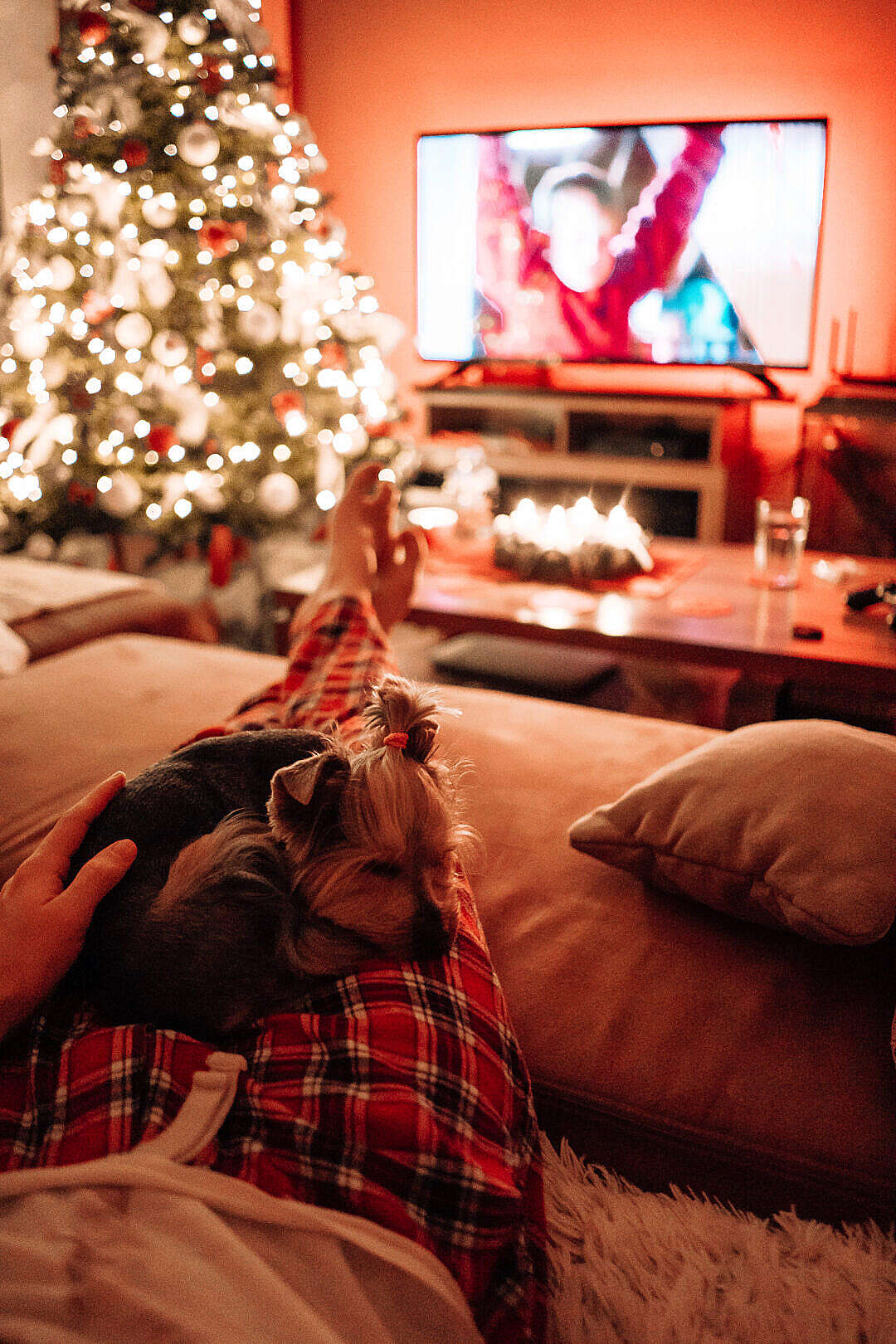 Man Relaxing on a Sofa with His Dog at Christmas