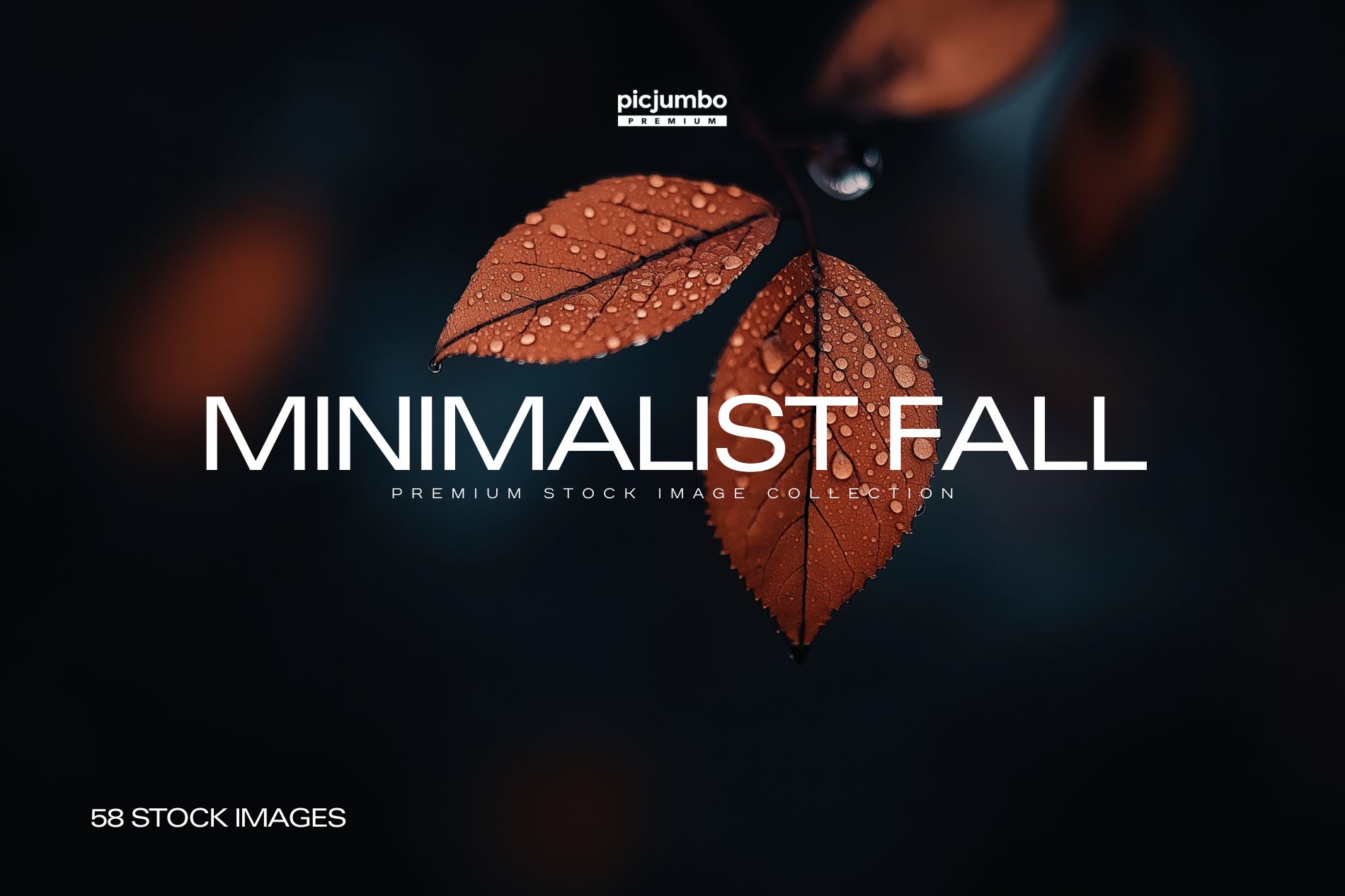 Download hi-res stock photos from our Minimalist Fall PREMIUM Collection!