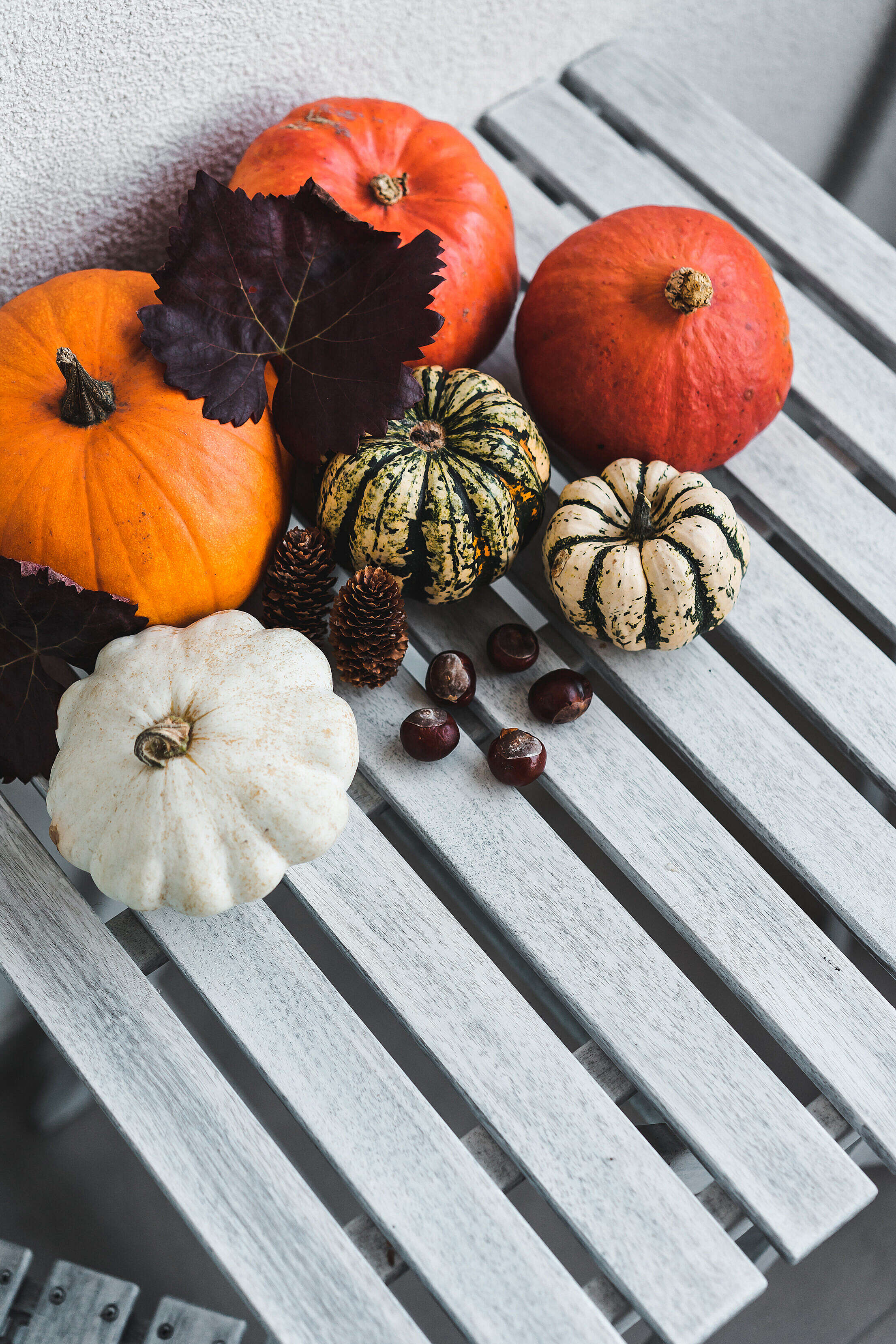 Mixed Pumpkins with Autumn Decorations Free Stock Photo