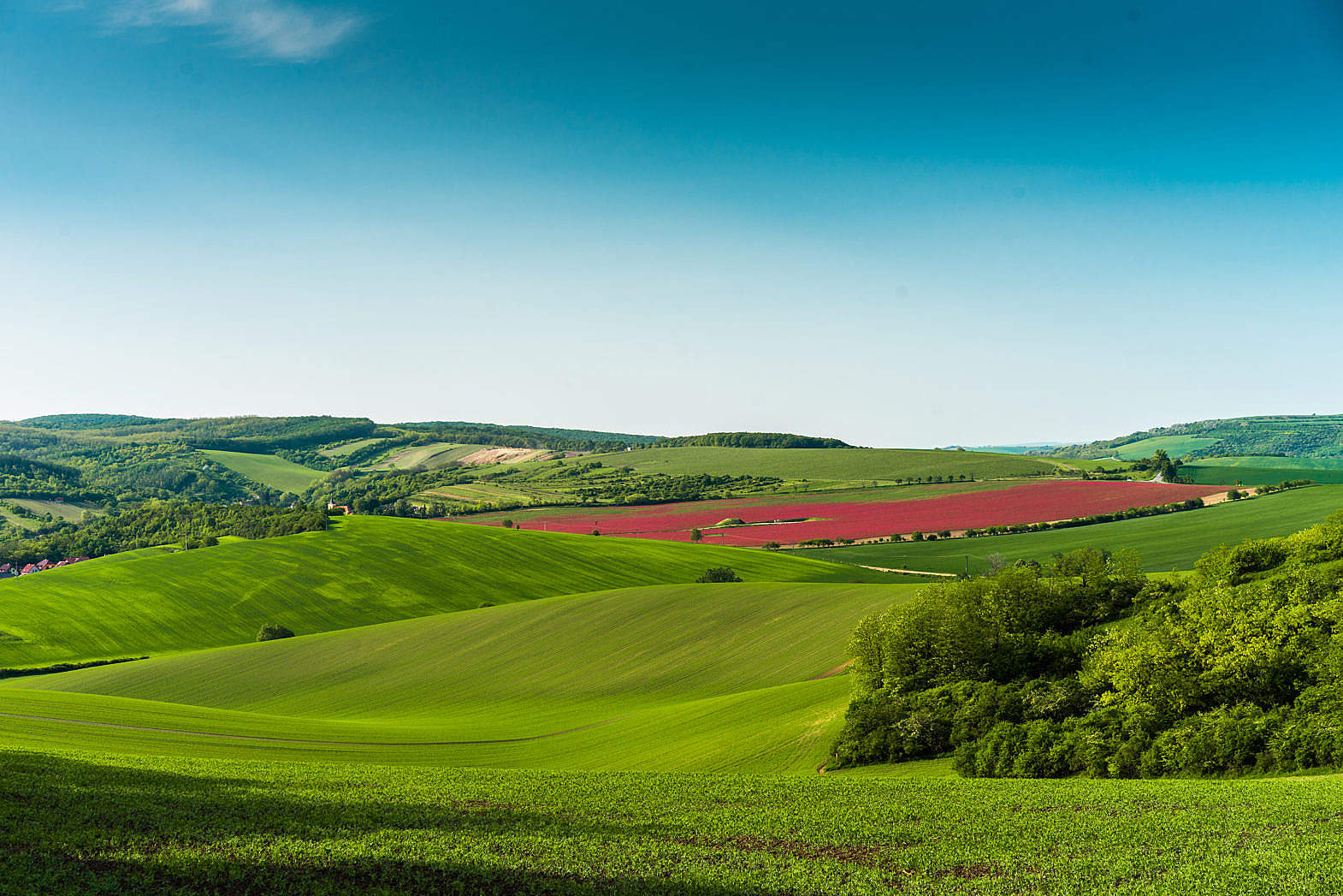 Moravian Scenery In Czechia Free Stock Photo | Picjumbo