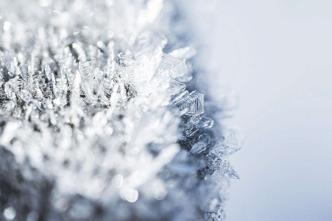 Morning Hoar Frost Frozen Snowflakes Close Up