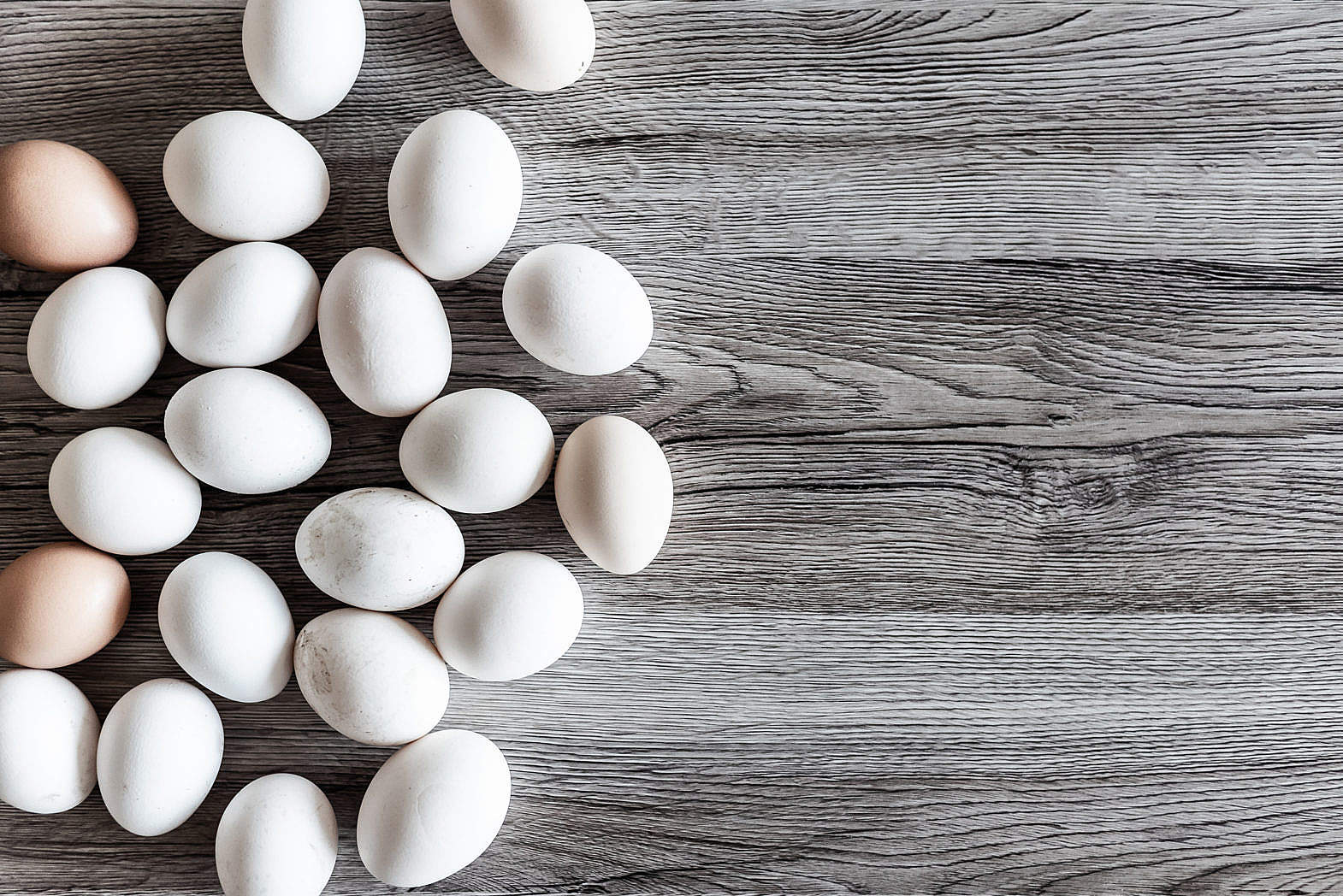 Natural white. Egg White. Egg background. Eggs on White. Eggs with White background.