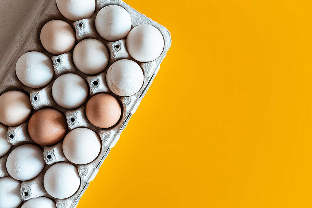 Download Natural White Eggs FREE Stock Photo