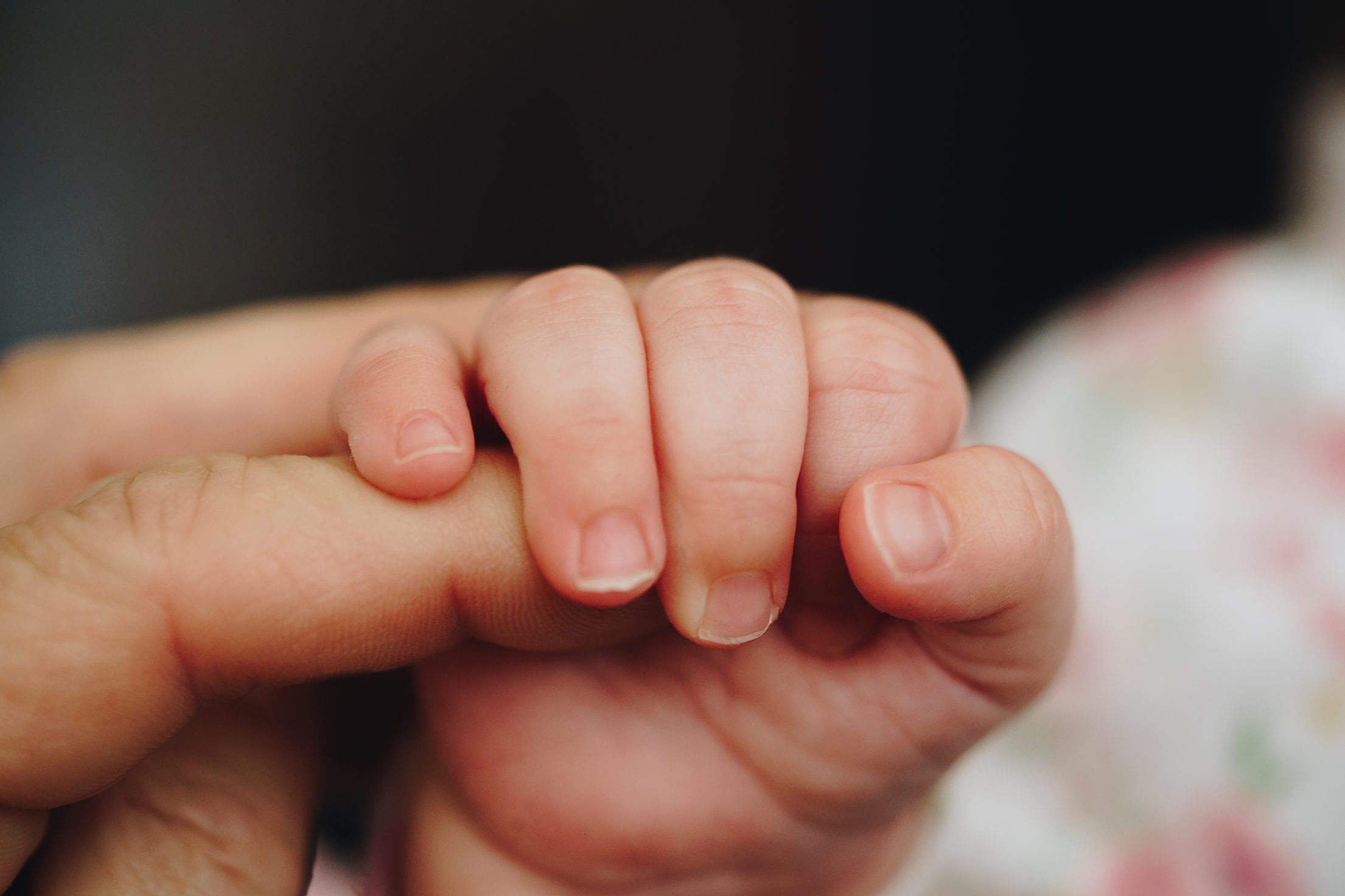 Newborn Baby Holding Parent’s One Hand Free Stock Photo