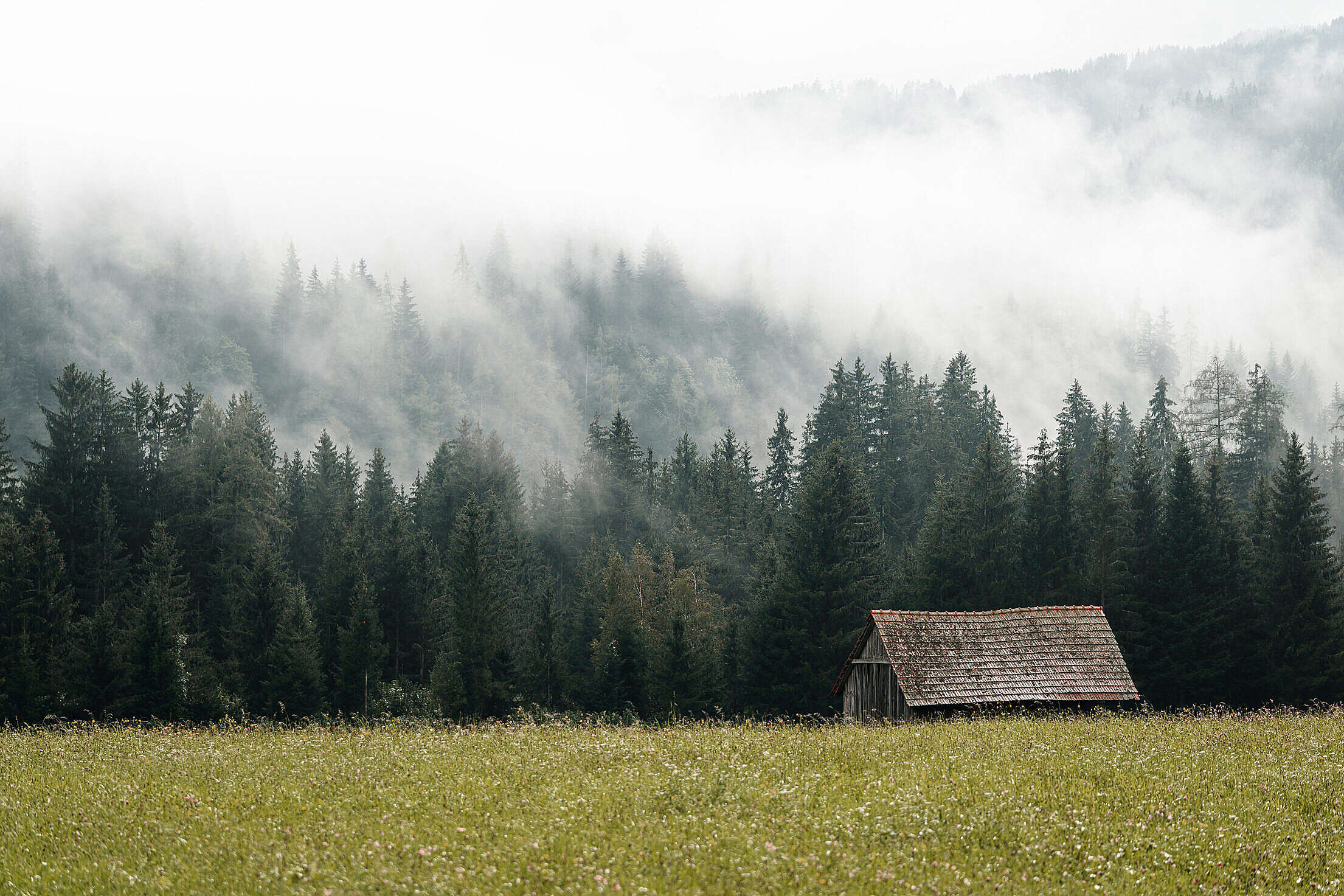 Old Barn Near The Forest Hidden in The Fog Free Stock Photo