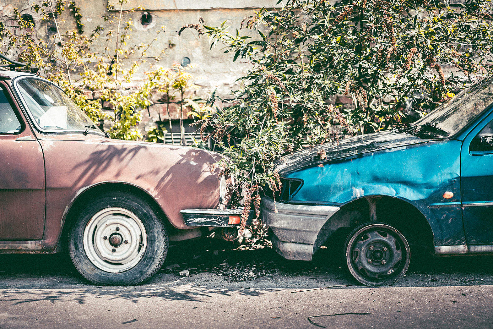 Old Broken Cars Free Stock Photo | picjumbo