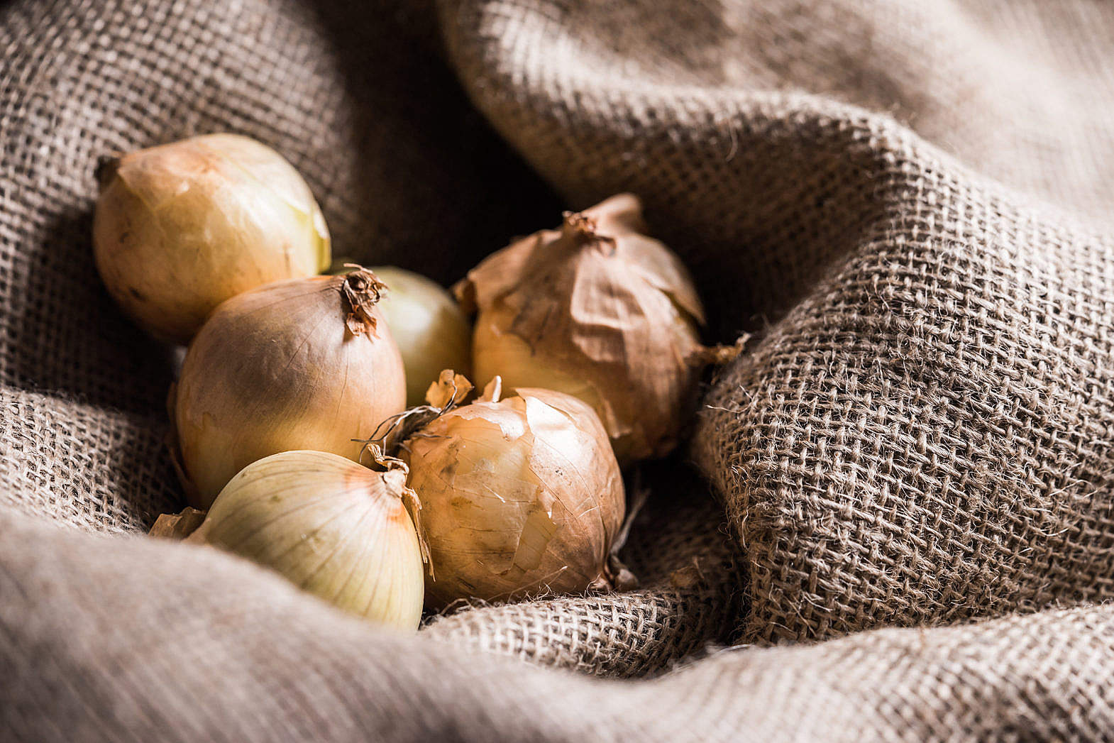 onions-in-sack-free-stock-photo-picjumbo