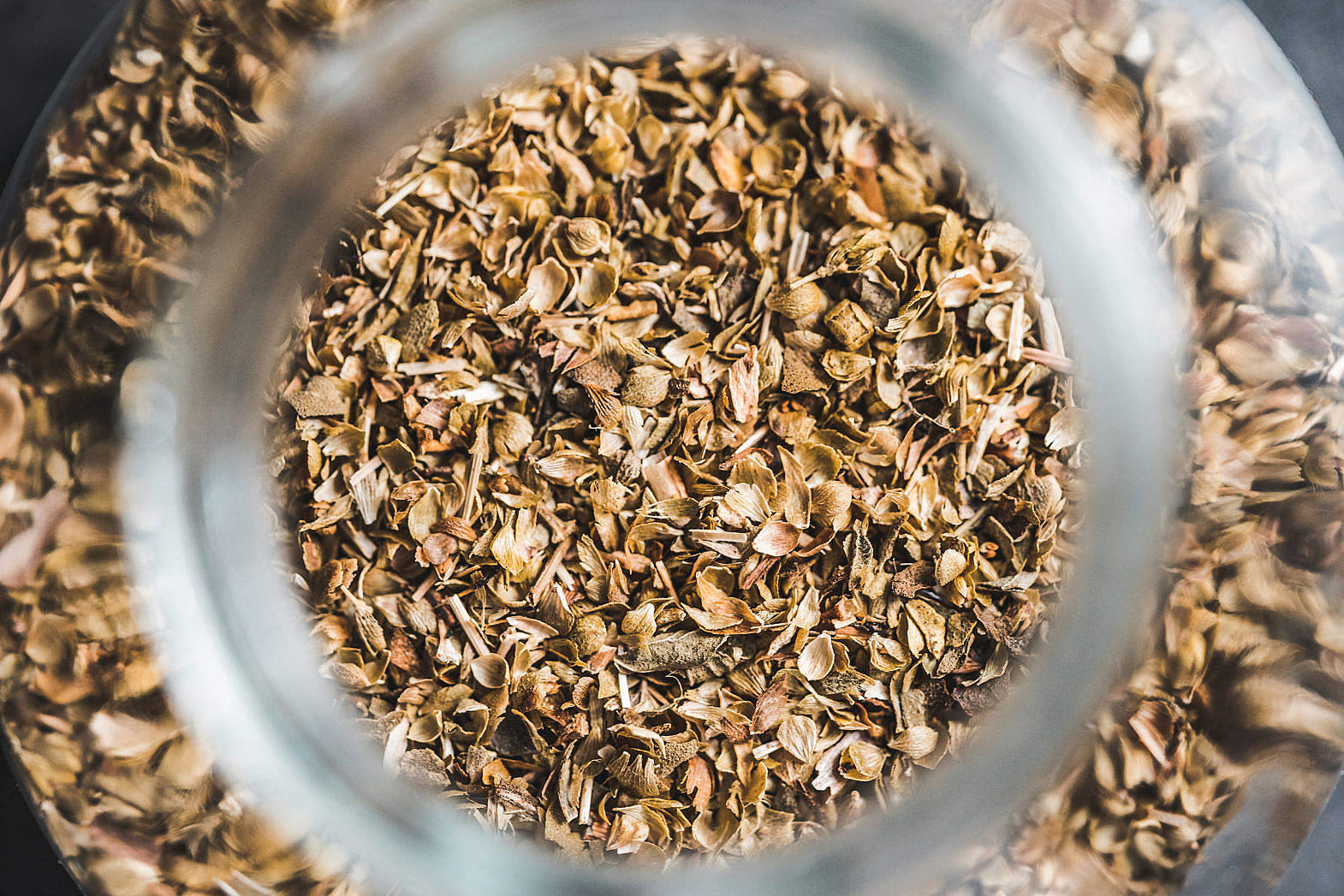 Oregano Spice Free Stock Photo picjumbo
