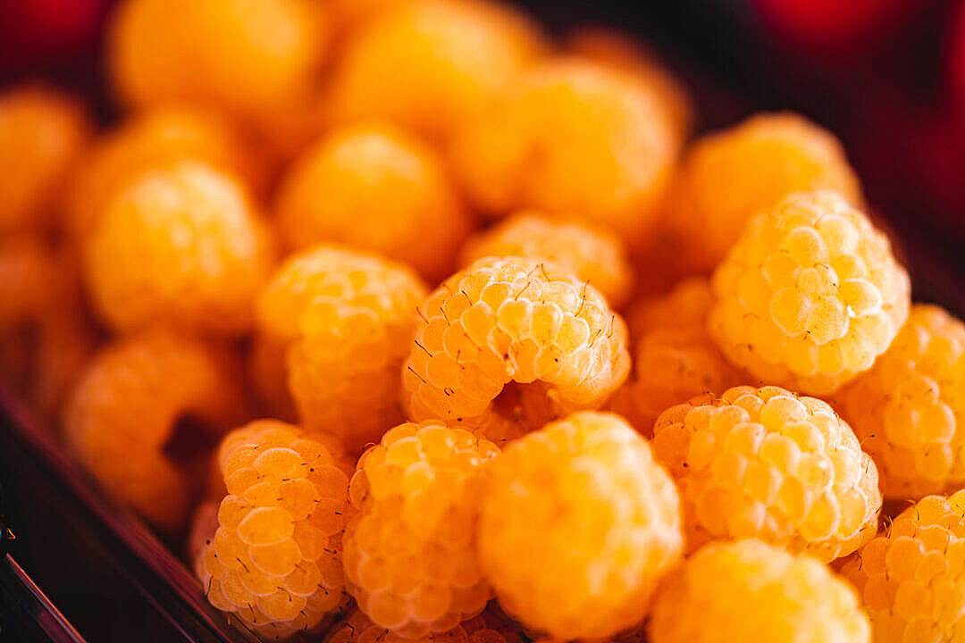 Organic Yellow Raspberries