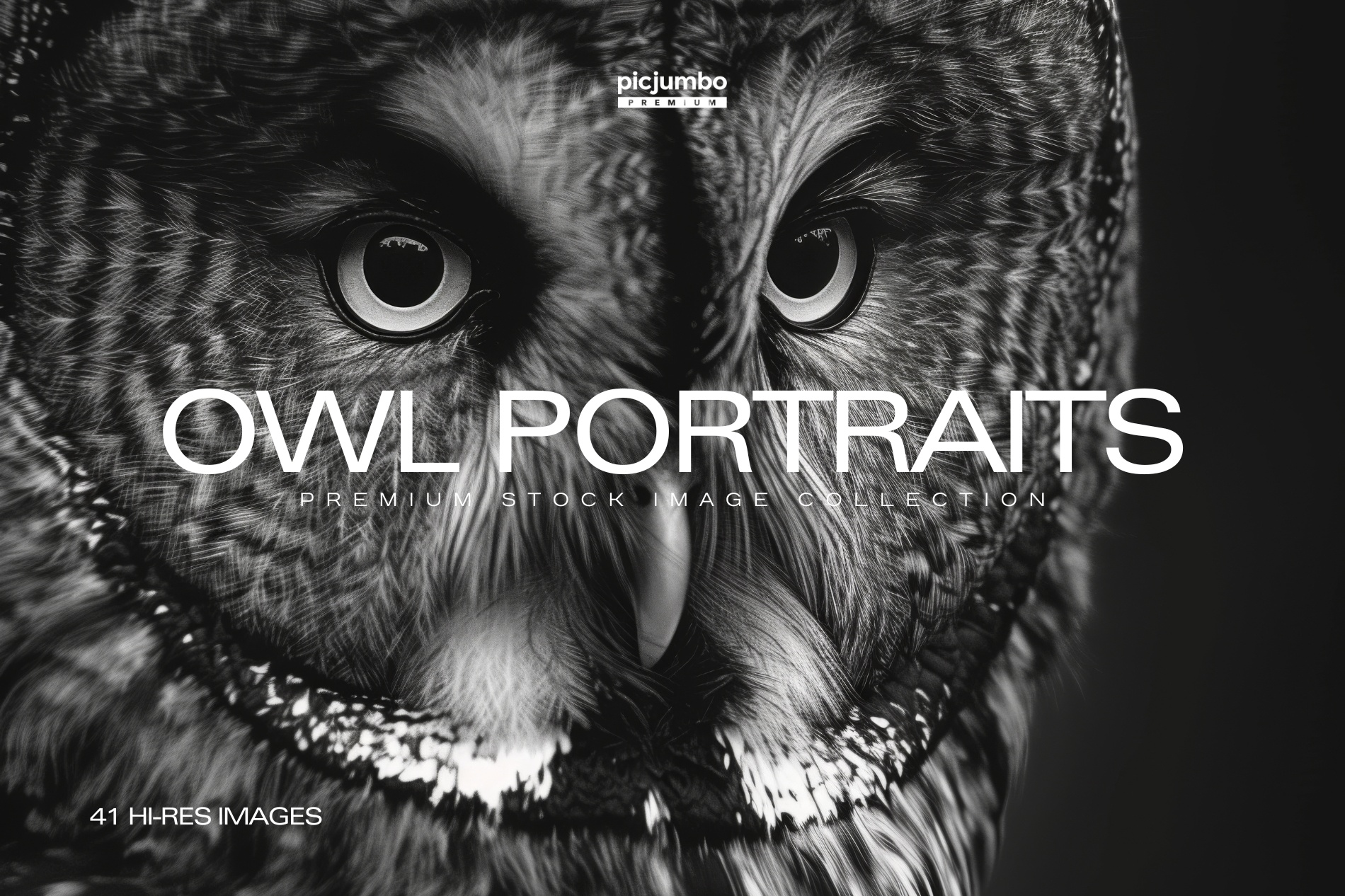 Download hi-res stock photos from our Owl Portraits PREMIUM Collection!