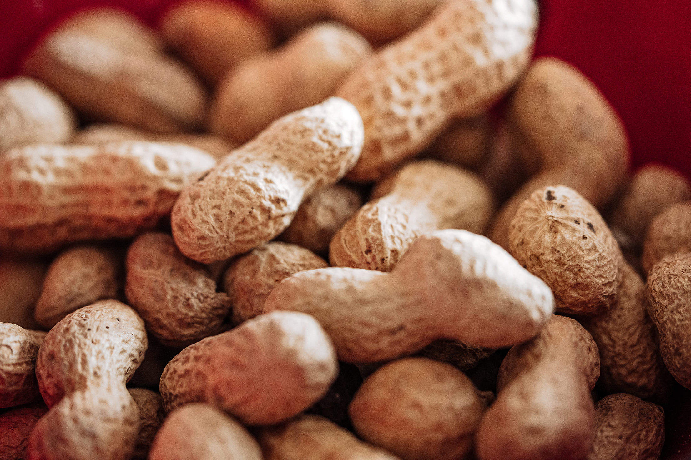 Peanuts in a Bowl Free Stock Photo picjumbo