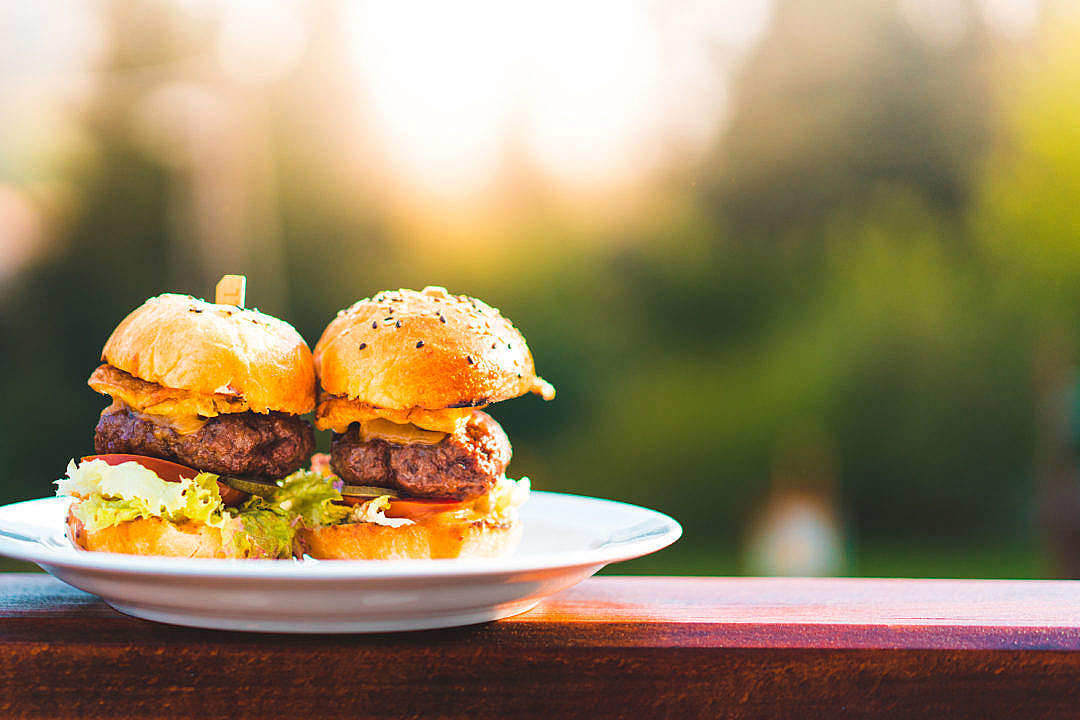 Download Perfect Mini Hamburgers FREE Stock Photo