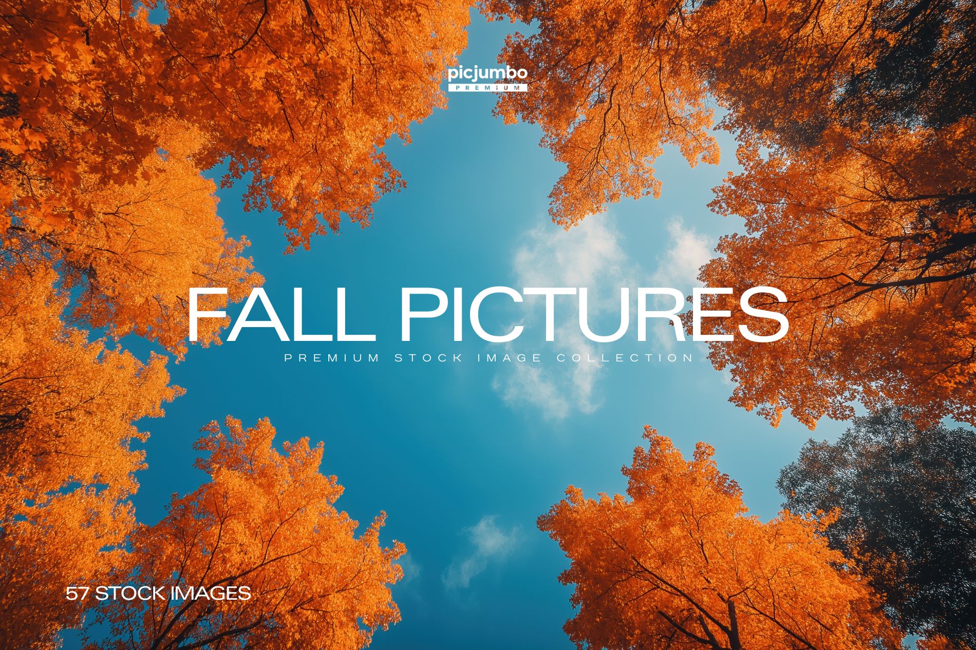 Download hi-res stock photos from our Fall Pictures PREMIUM Collection!