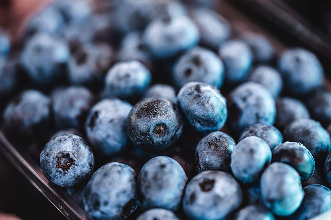Pile of Blueberries