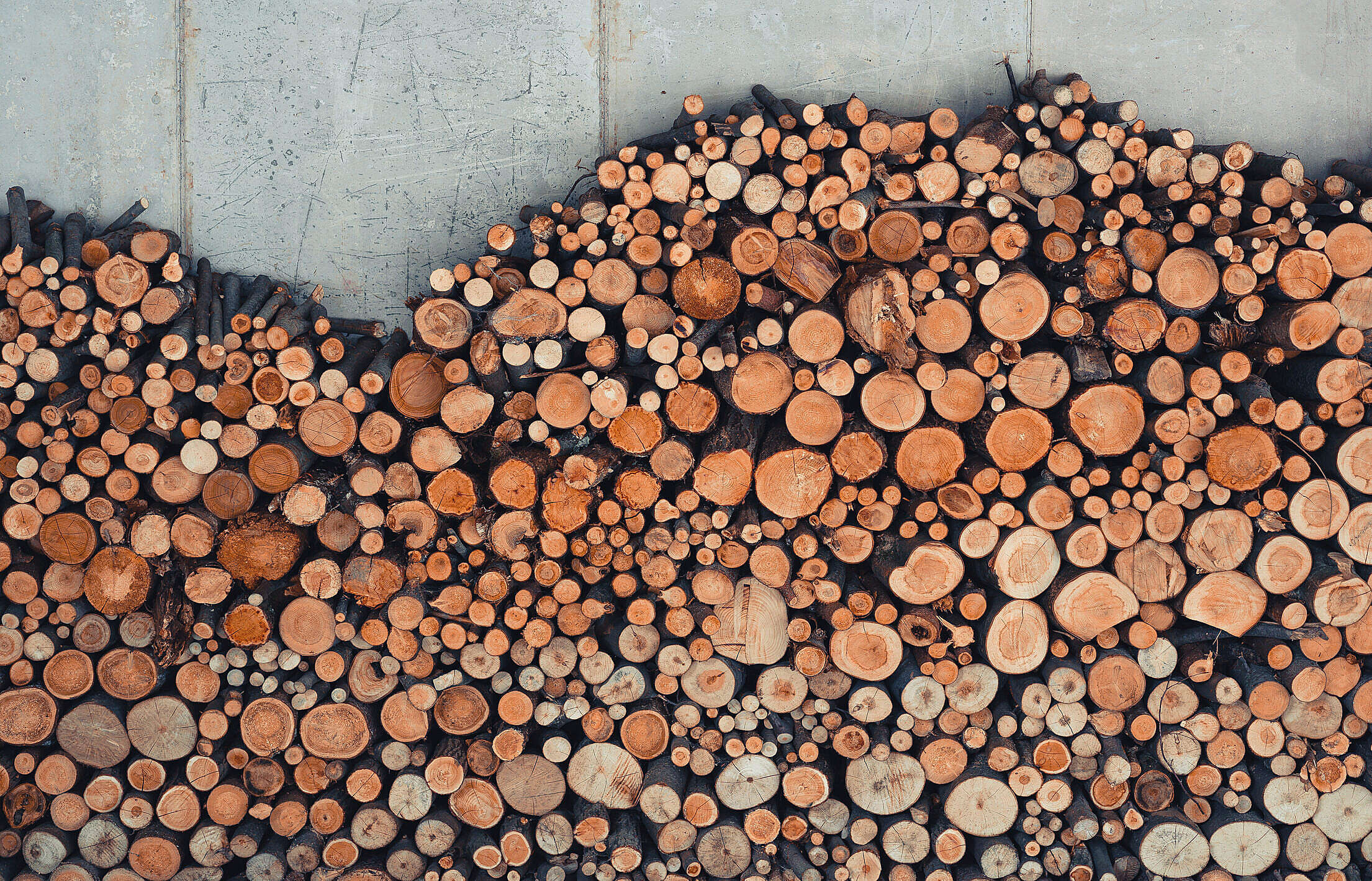 Pile of Fire Wood Ready for Cold Winter Free Stock Photo