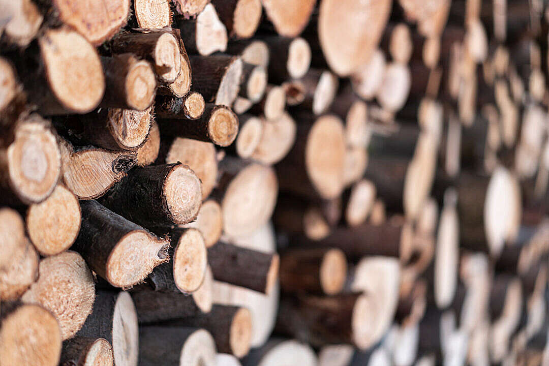 Download Pile of Firewood Wood Logs FREE Stock Photo