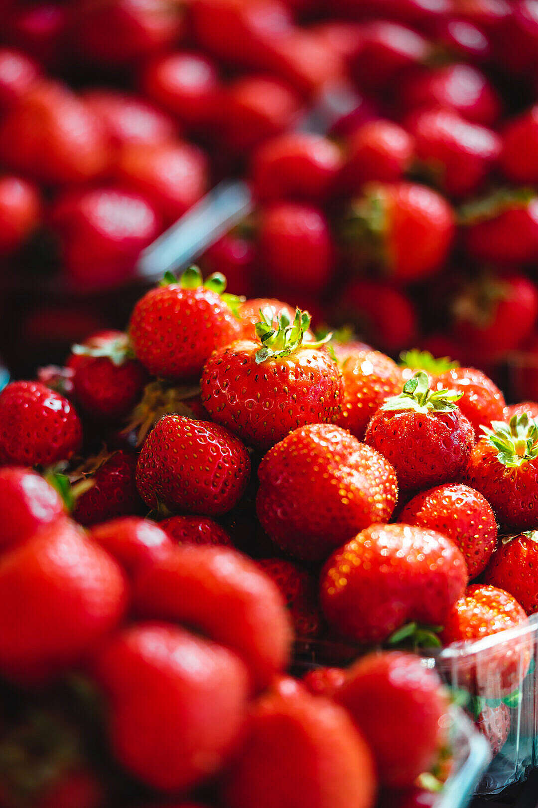 Download Pile of Fresh Strawberries at Farmers’ Markets FREE Stock Photo