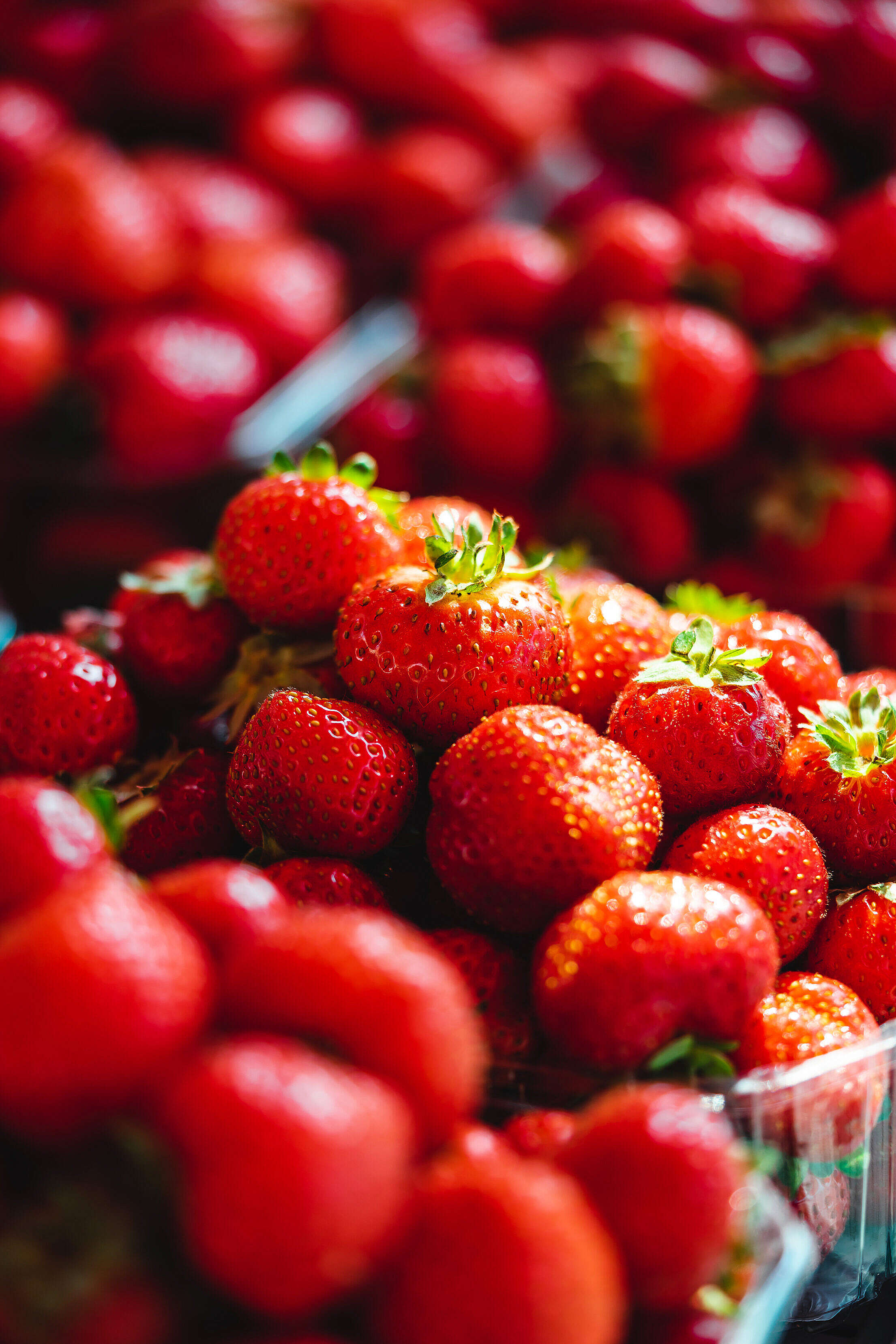 Pile of Fresh Strawberries at Farmers’ Markets Free Stock Photo
