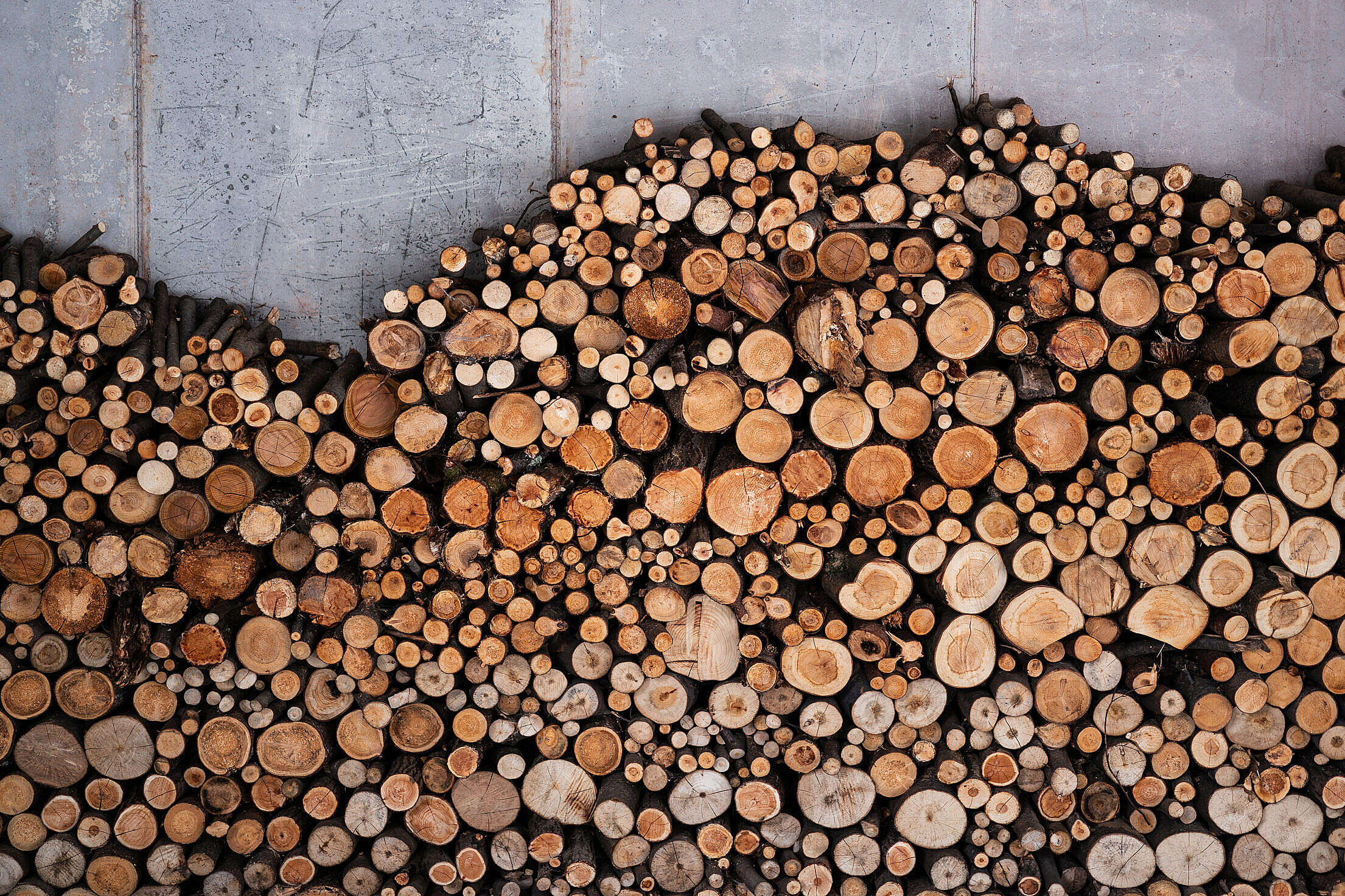 Pile of Wood Stacked by the Wall Free Stock Photo
