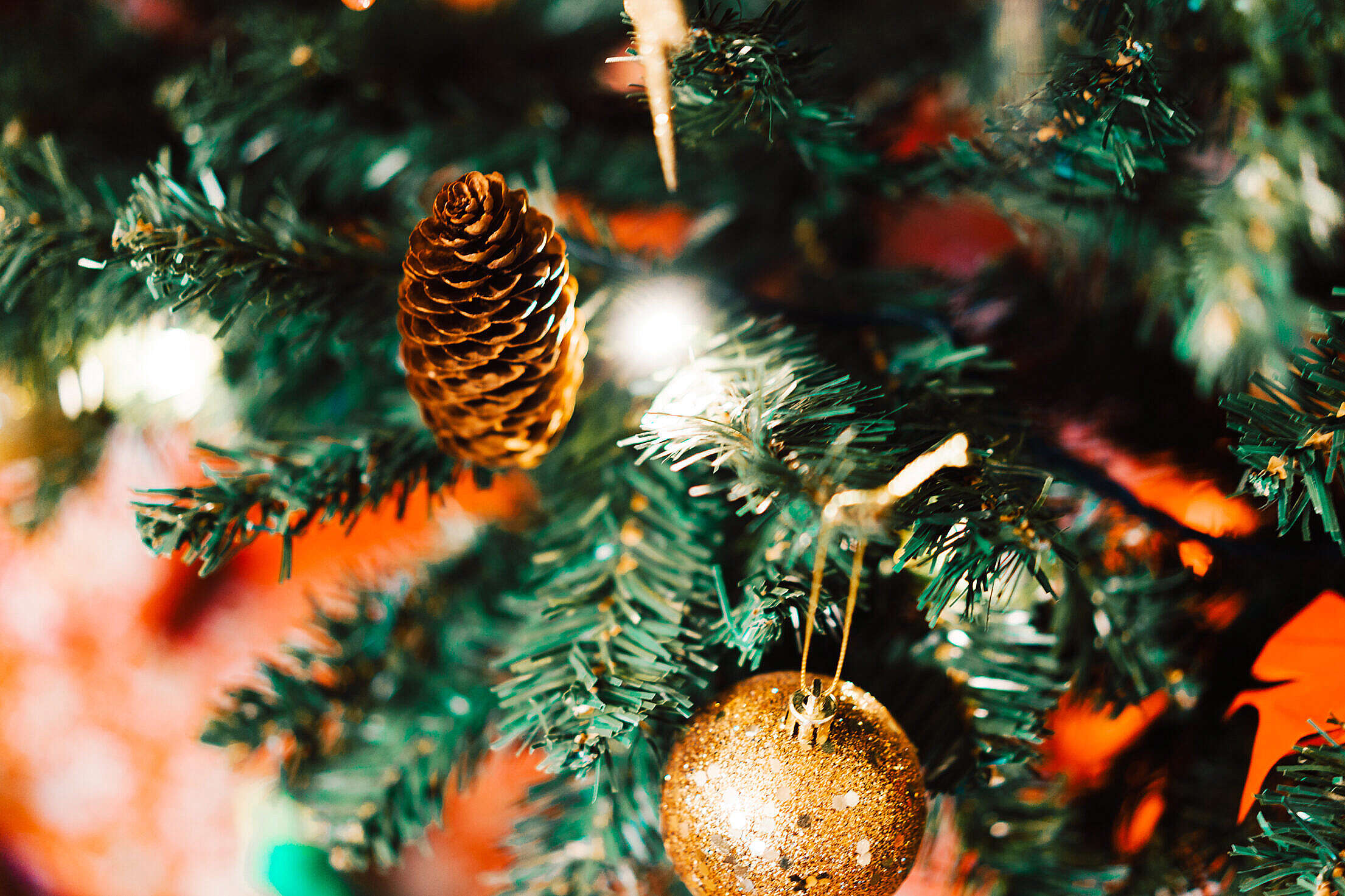 Pine Cone on Christmas Tree Close Up Free Stock Photo