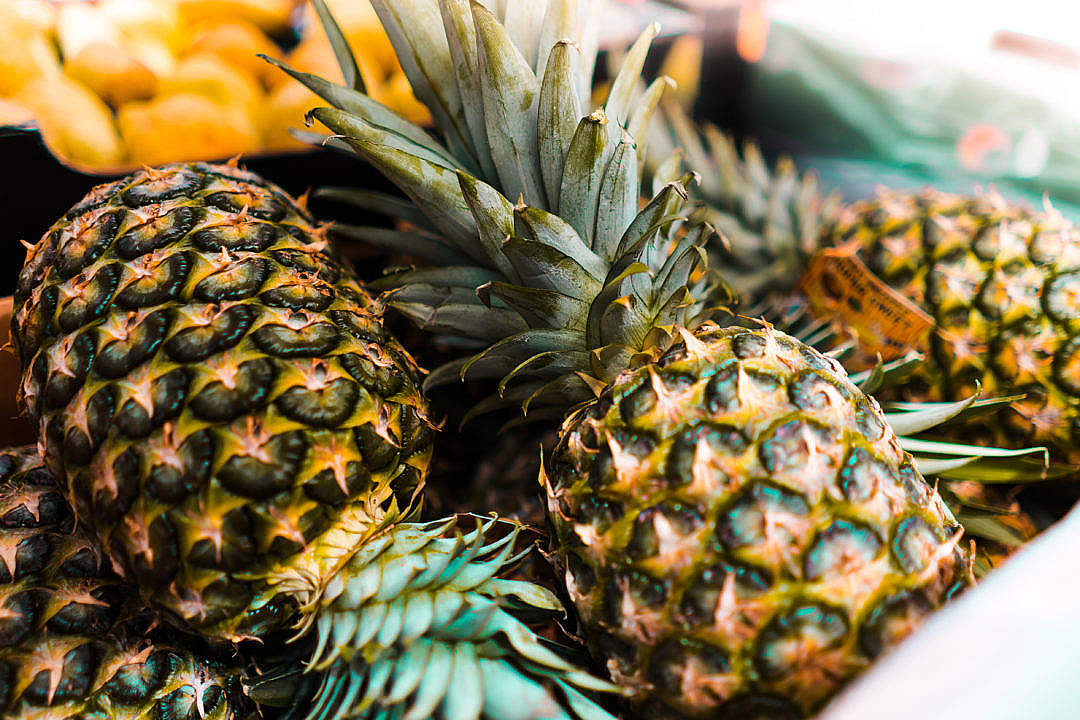 Download Pineapples FREE Stock Photo