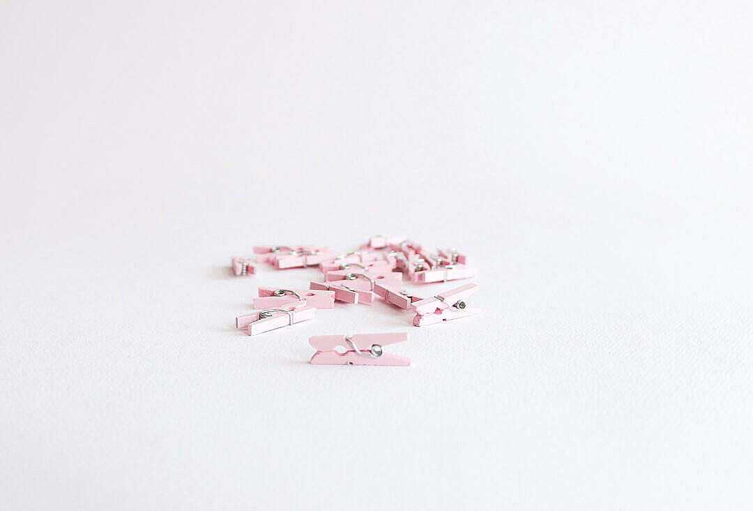 Download Pink Mini Wooden Pegs FREE Stock Photo
