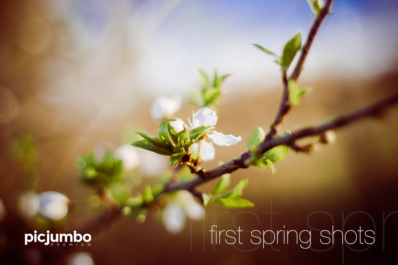 Download hi-res stock photos from our First Spring Shots PREMIUM Collection!