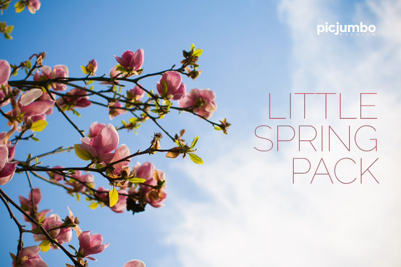 Download hi-res stock photos from our Little Spring Pack PREMIUM Collection!