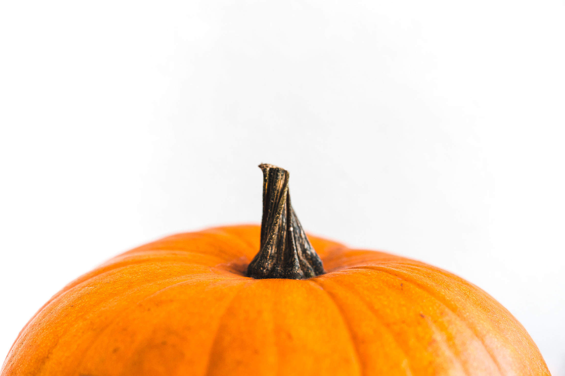 Pumpkin on a White Background Free Stock Photo