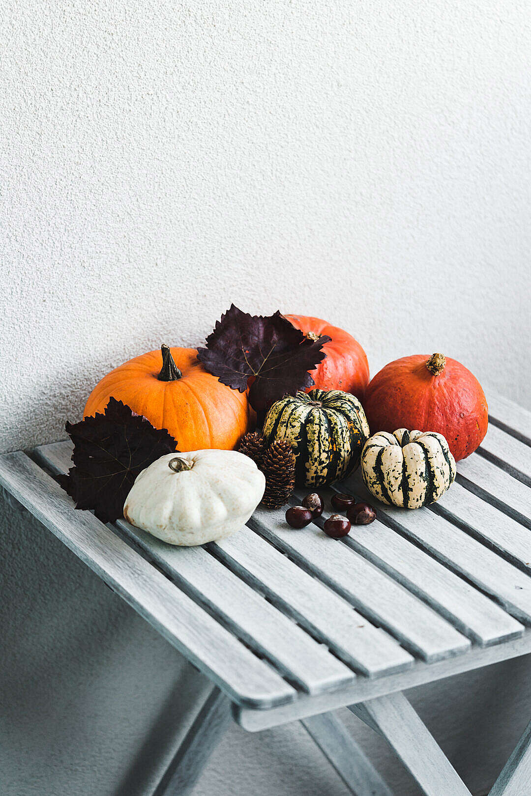 Pumpkins in Different Shapes as Fall Decorations